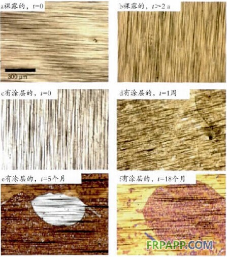 石墨烯在功能涂料中的應用概述